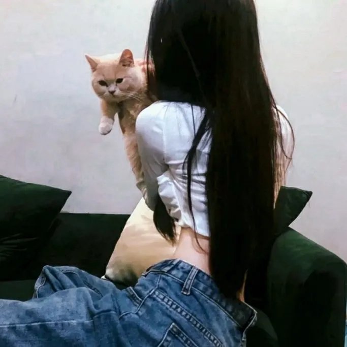 迈向一星料理